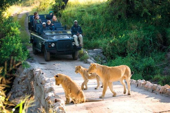 Kruger Park Lodge 401 Hazyview Bagian luar foto